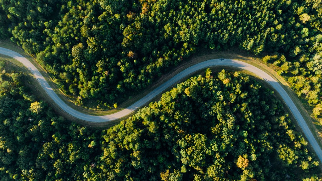 Aerial photo of a winding road through dense forest
